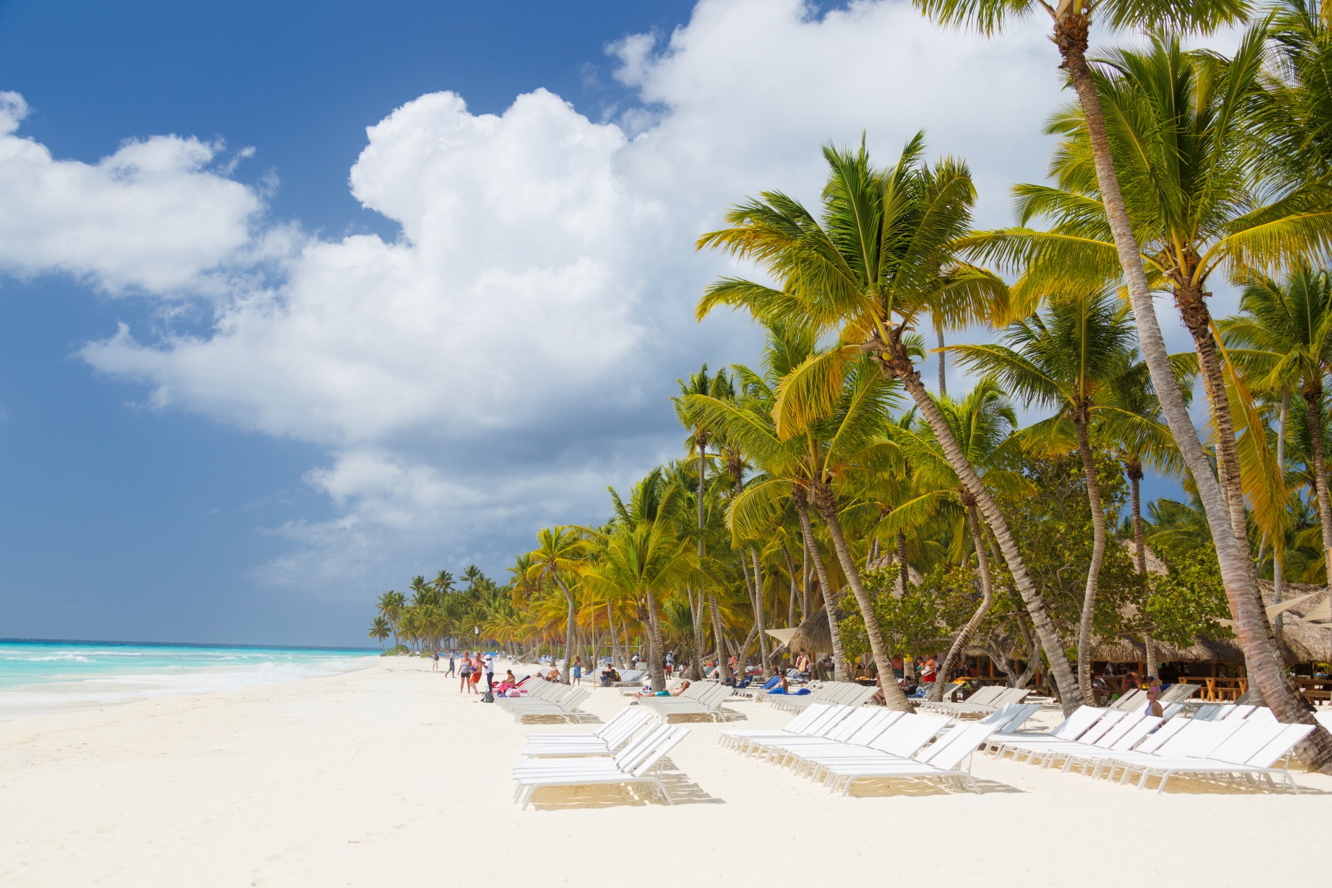 caribbean-beach-with-palms-14577744997I2